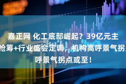 嘉正网 化工底部崛起？39亿元主力资金抢筹+行业盛会定调，机构高呼景气拐点或至！