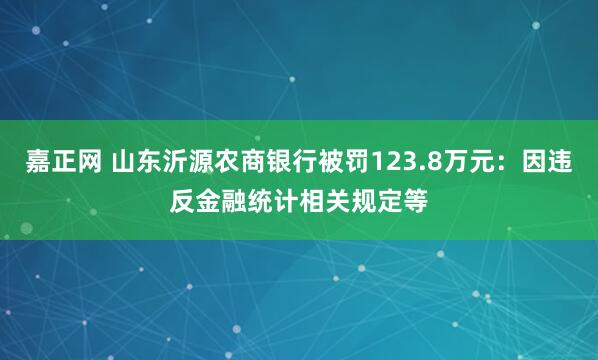 嘉正网 山东沂源农商银行被罚123.8万元：因违反金融统计相关规定等