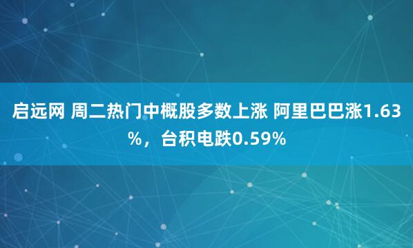 启远网 周二热门中概股多数上涨 阿里巴巴涨1.63%，台积电跌0.59%