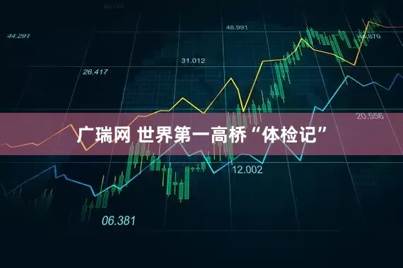 广瑞网 世界第一高桥“体检记”