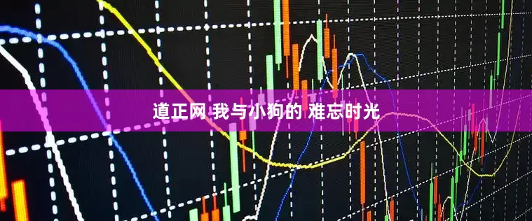 道正网 我与小狗的 难忘时光