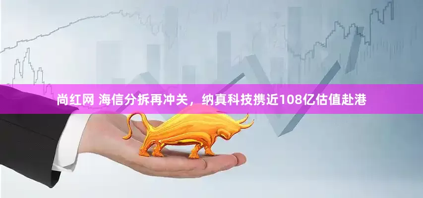 尚红网 海信分拆再冲关，纳真科技携近108亿估值赴港